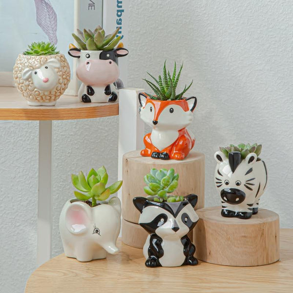 Cartoon Tiermotive Keramik Blumentopf für Succulenten