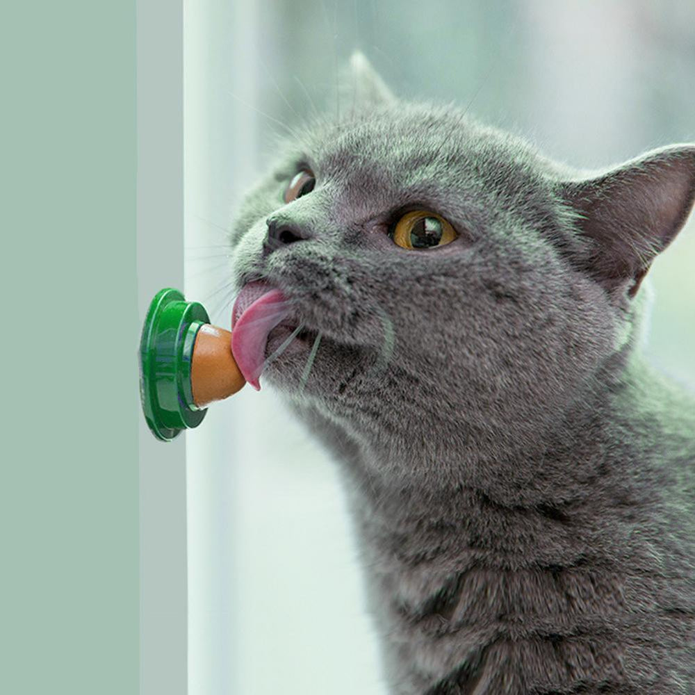 Cat snack wall ball nutritional supplement catnip