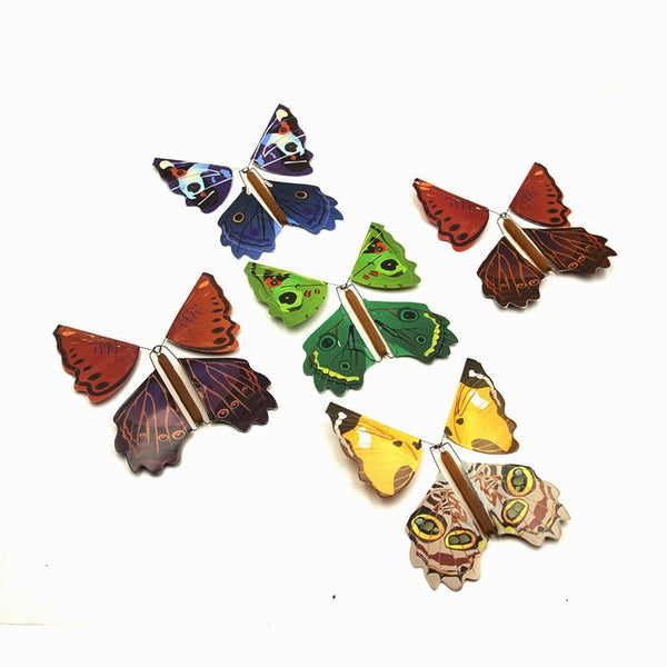The magical flying butterfly (5 pieces)