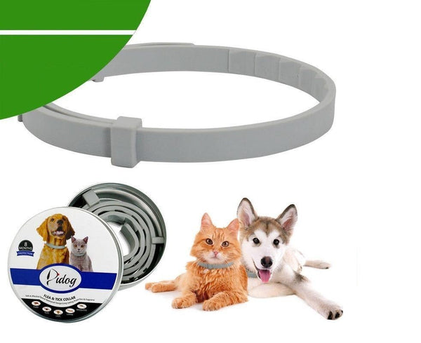 Collar-Protect Anti Zecken & Flöhe Katzen und Hundehalsband