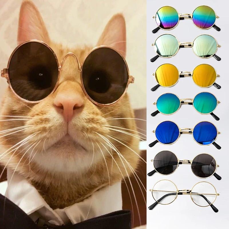 Retro sunglasses for cats
