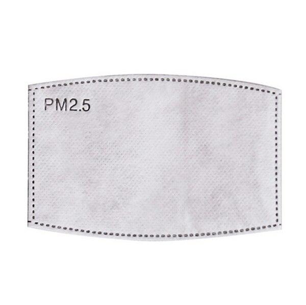 PM 2.5 face mask filter activated carbon respiration (filter only)